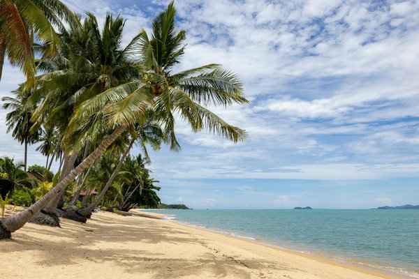 L'histoire du camping sur la Côte d'Azur