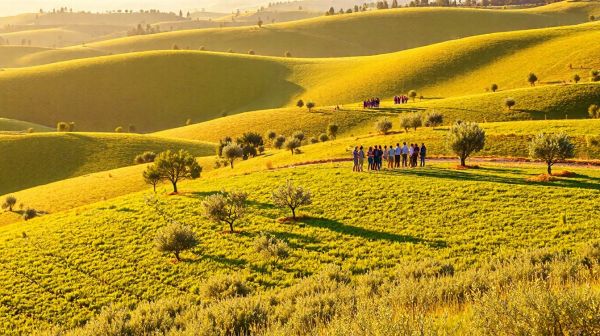 Découvrez les meilleures activités de team building en Provence